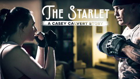 Casey Calvert - The Starlet: A Casey Calvert Story - pure taboo coupone